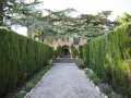 The Park